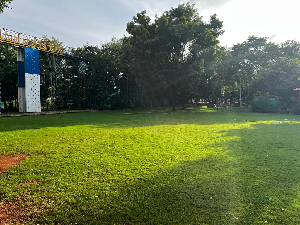 District Gravity Open Lawn